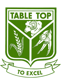 Table Top PS Fundraiser