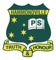 Hammondville PS Raffle