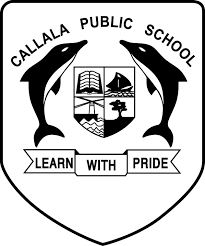 Callala PS Fundraiser
