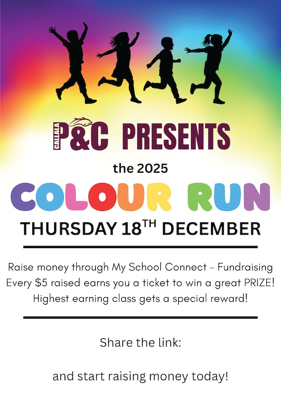 Callala PS Colour Run
