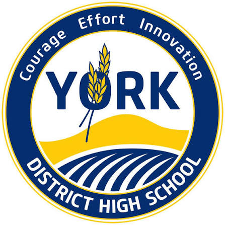 York District HS Raffles